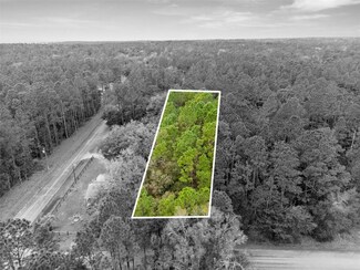 000 SW 202nd Ct, Dunnellon, FL 34431
