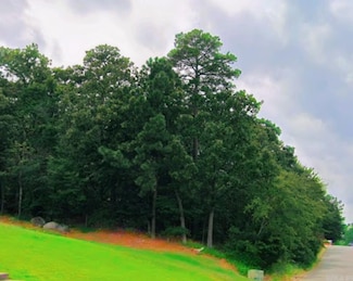 26 Norfork Dr, Maumelle, AR 72113