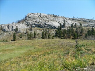111 Tbd Palmer Mountain Rd, Tonasket, WA 98855