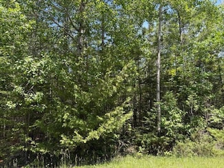 Lot 86 E Renwick Cir, Presque Isle, MI 49777