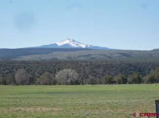 TBD Colorado 145, Norwood, CO 81423