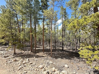 1127 Sequoia Dr, Leadville, CO 80461