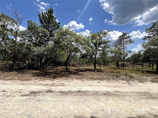 TBD SE 95 St, Dunnellon, FL 34431