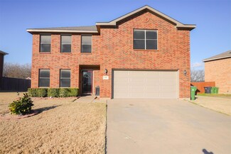 925 Blue Sky Dr, Arlington, TX 76002