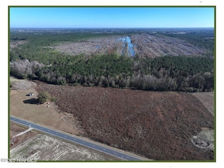 Lot 1 Wire Grass Rd, Orrum, NC 28369