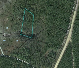 21 Hawk's Way, Waynesville, GA 31566