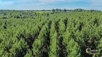 0 Welch Rd Unit 25510382, Buena Vista, GA 31803