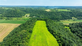 W598 Joos Valley Rd, Fountain City, WI 54629