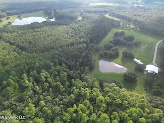 25200 Old Joyner Mill Rd, Kiln, MS 39556