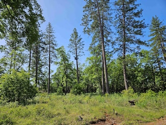 6.28 acres California 44, Shingletown, CA 96088