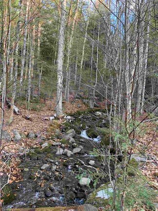 0 Newfound Hills Rd Unit 156 4857388, Alexandria, NH 03222