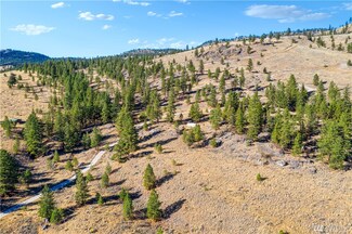 2011 Cayuse Mountain Rd, Okanogan, WA 98855