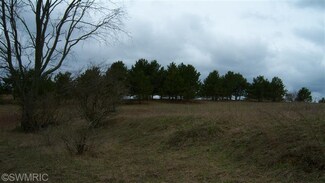 10580 40th Ave, Remus, MI 49340
