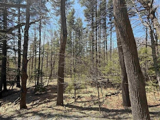 Lot 3 North St, Dover, VT 05431