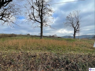 Lot 4C London Pace Sink Rd, Horse Cave, KY 42749