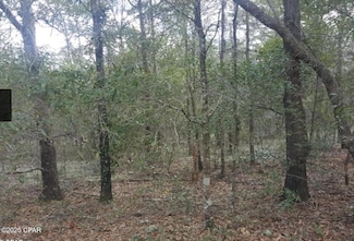 000 Fusion Cir, Chipley, FL 32428
