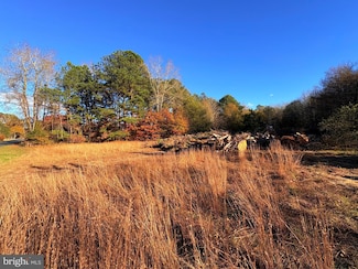 8385 Hurleys Neck Rd, Mardela Springs, MD 21837