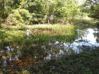 Vacant Gale, Summersville, MO 65571