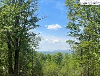 00 Tumbling Shoals Rd, Millers Creek, NC 28651