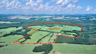 2700 Silo Rd, Edison, GA 39846
