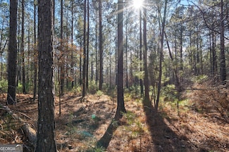 0 Aycock Rd Unit 10466477, Lexington, GA 30648