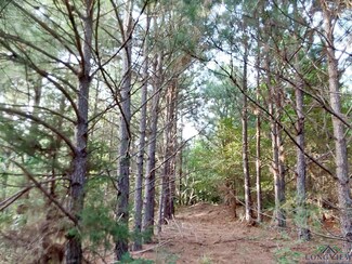 TBD Cr 1619, Linden, TX 75563