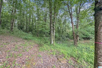 0 Red Oak Cir, Helena, AL 35080