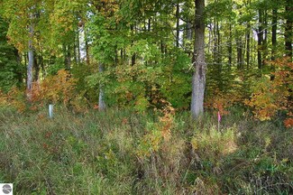 5701 S 25 Rd, Boon, MI 49618