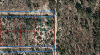 1215 Oakdale Heights, Archer, FL 32618