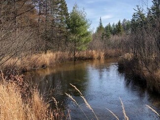 Lot 108 River Park Dr, Grayling, MI 49738