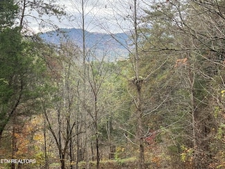 0 Rd Unit 1281702, Sevierville, TN 37876