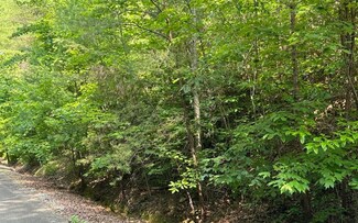 0 W River Trace Unit 325688, Ellijay, GA 30536