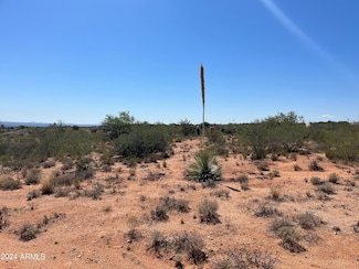 XXXX S Via Coyote -- Unit 4, Benson, AZ 85602