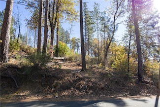 10991 Gifford Springs Rd, Cobb, CA 95461