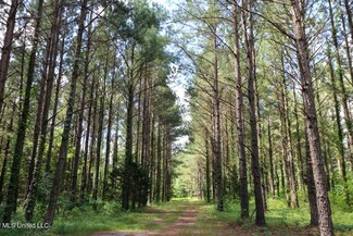 4908 County Road 8, Heidelberg, MS 39439