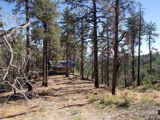 7004 E Wild Flower Rd Unit 106, Crown King, AZ 86343