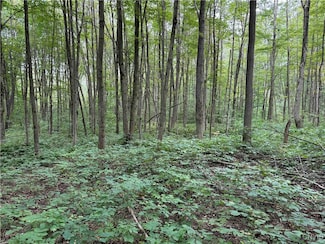 00 Herrick Rd, Gerry, NY 14740