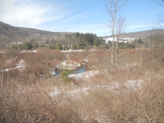 00 Prospect Valley Rd, Candor, NY 13743
