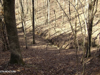0 Torbett Rd Unit 1305176, Spring City, TN 37381