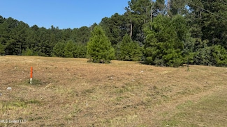 01 Hwy 35 S, Forest, MS 39074