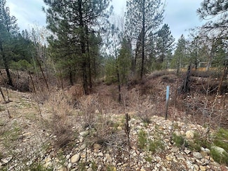 L51 Lily Loop Unit 51, Idaho City, ID 83631