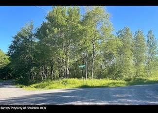 00 Crossroad Rd, Union Dale, PA 18470