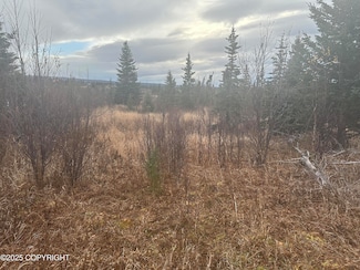 006 Wells St, Ninilchik, AK 99639