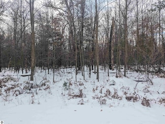 N/A Georgia Edna Ln Unit 33, Skidway Lake, MI 48756