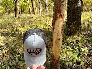 000 Pine Rd, Carthage, MO 64836