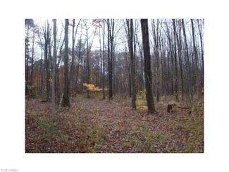 0 State Route 45 Unit 3759226, Austinburg, OH 44010