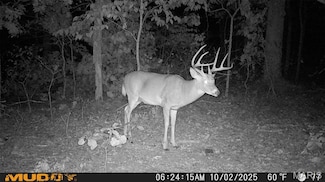 00 Sunset Shores Ln, Camdenton, MO 65324