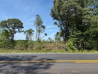 13107 Hamlet Mill Rd, Daviston, AL 36256