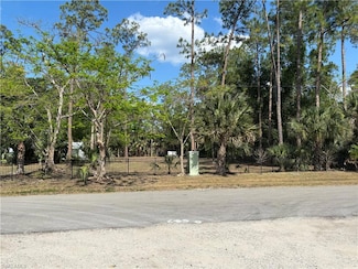 498 Wilson Blvd S, Rural Estates, FL 34117