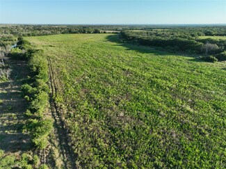 TBD Cr 137, Carlton, TX 76436